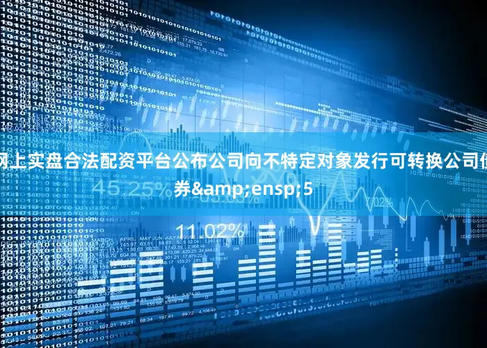 网上实盘合法配资平台公布公司向不特定对象发行可转换公司债券&ensp;5